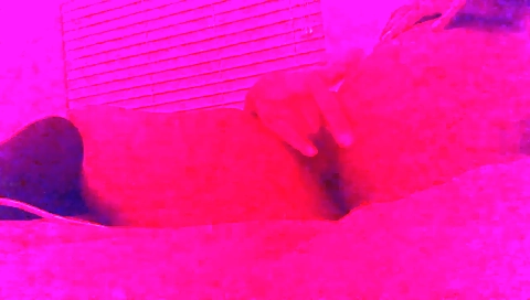 Hairy pussy and mouth fucking dudr prowl